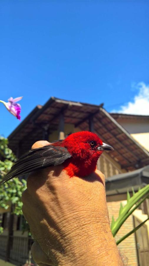 Pouso Bom Retiro Otel Araquari Dış mekan fotoğraf