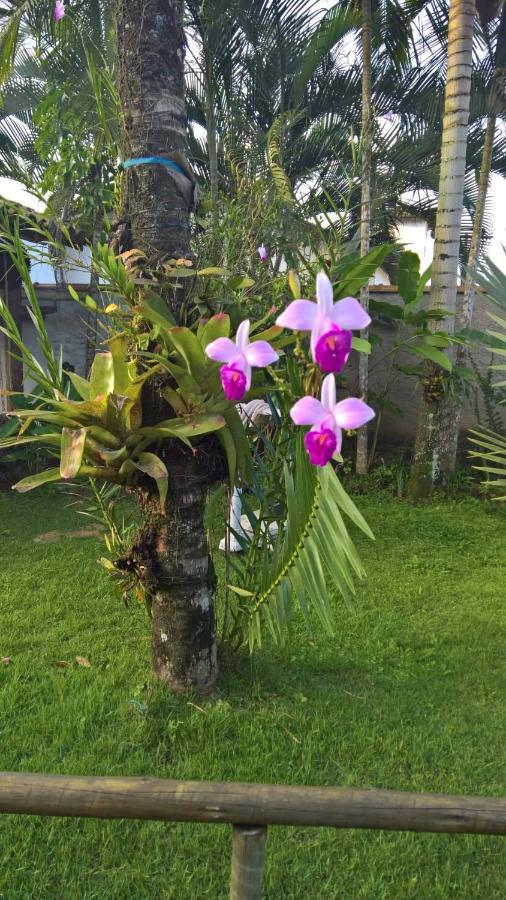 Pouso Bom Retiro Otel Araquari Dış mekan fotoğraf