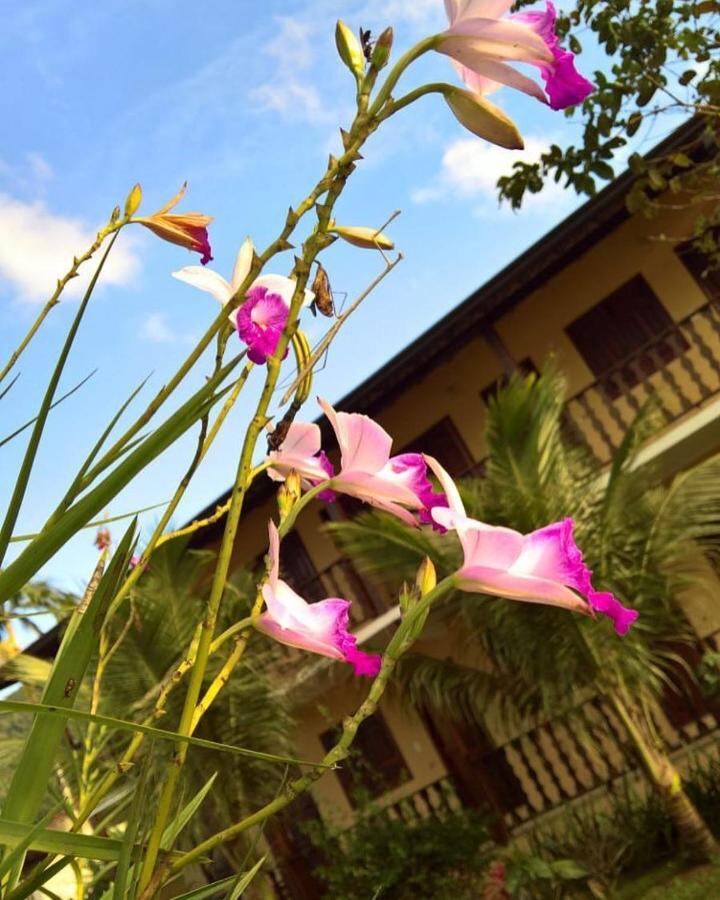 Pouso Bom Retiro Otel Araquari Dış mekan fotoğraf